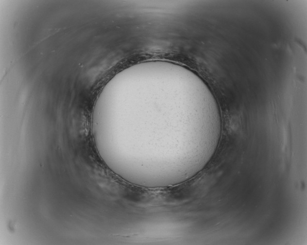 X0000103291253200809121959