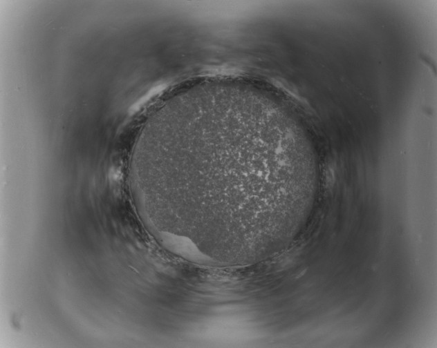 X0000103291254200809121959