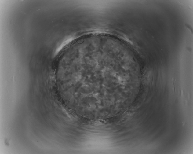 X0000103291255200809121959