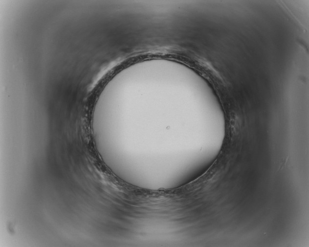 X0000103291256200809121959