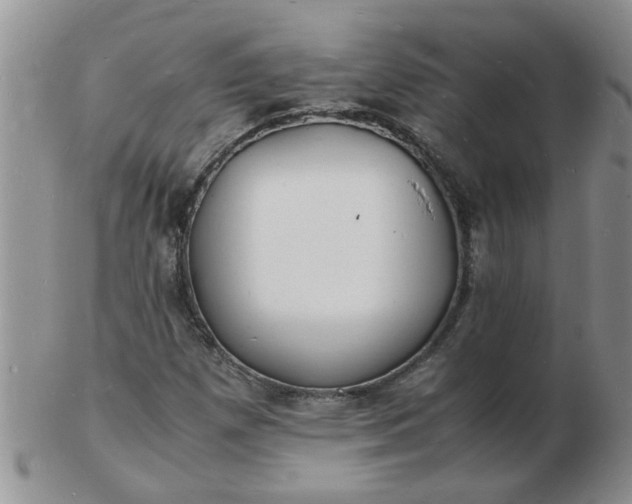 X0000103291257200809121959