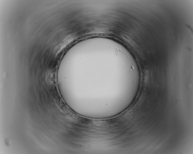 X0000103291258200809121959