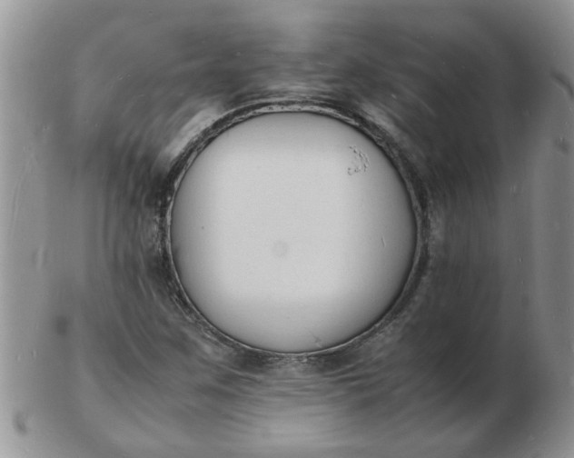 X0000103291259200809121959