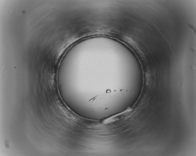 X0000103291260200809121959