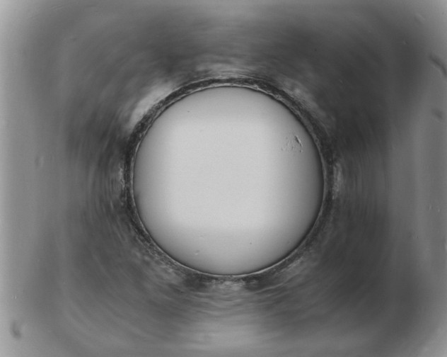 X0000103291261200809121959