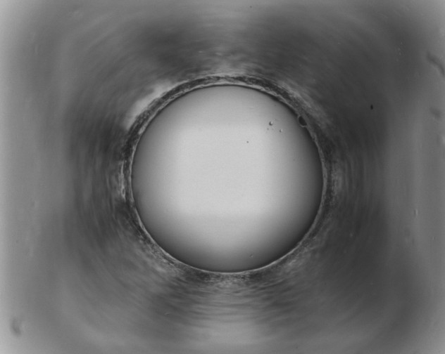 X0000103291262200809121959