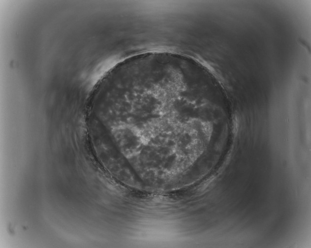 X0000103291263200809121959