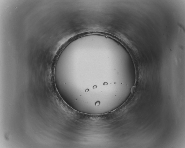 X0000103291264200809121959