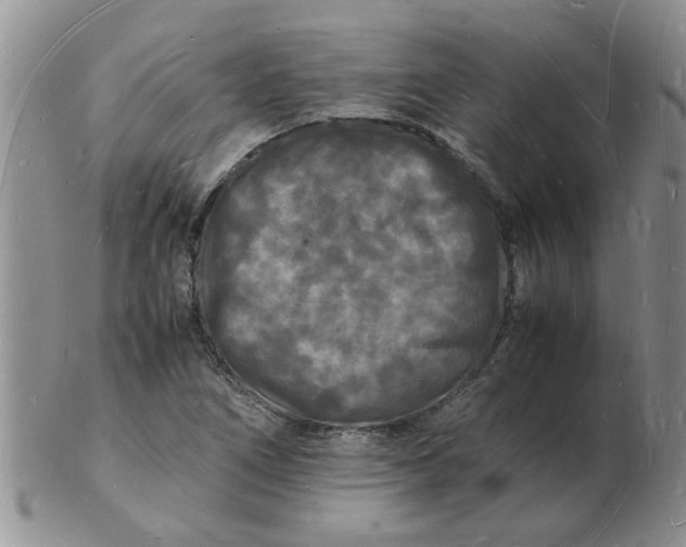 X0000103291266200809121959