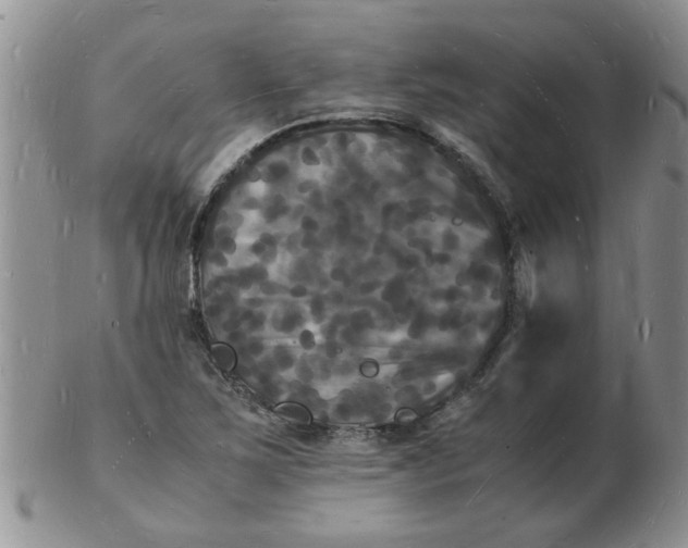 X0000103291267200809121959