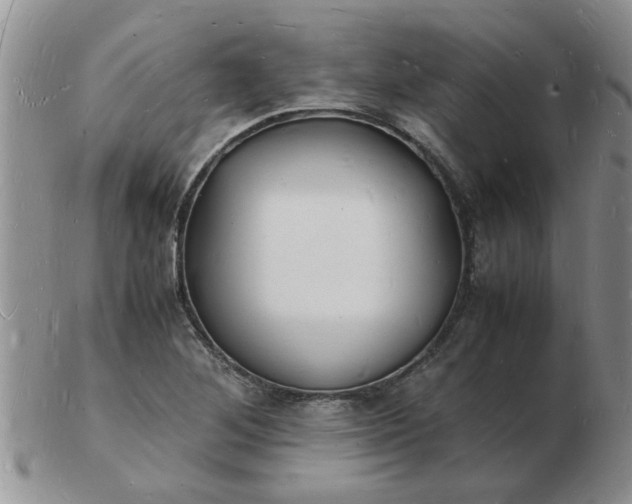 X0000103291268200809121959