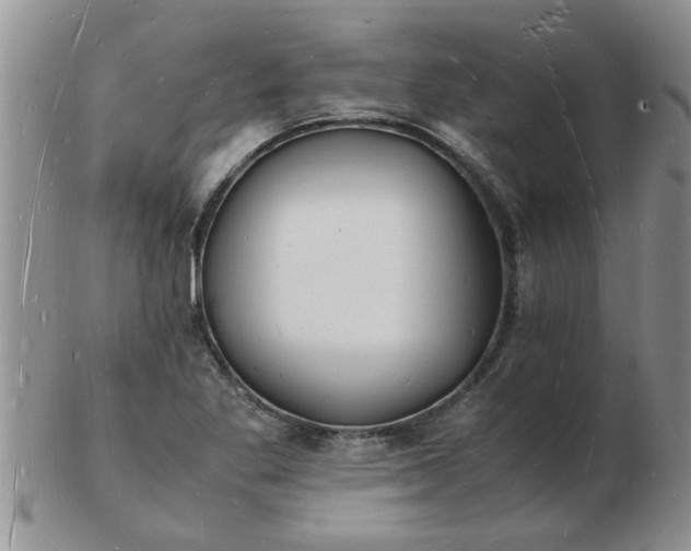 X0000103291269200809121959