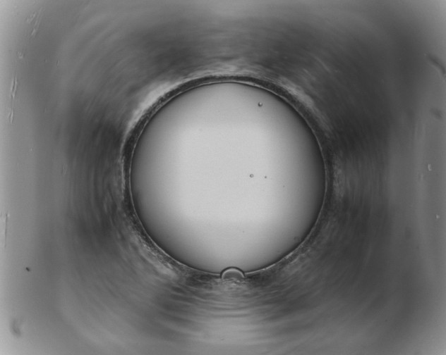 X0000103291270200809121959