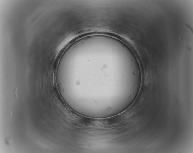 X0000103291271200809121959