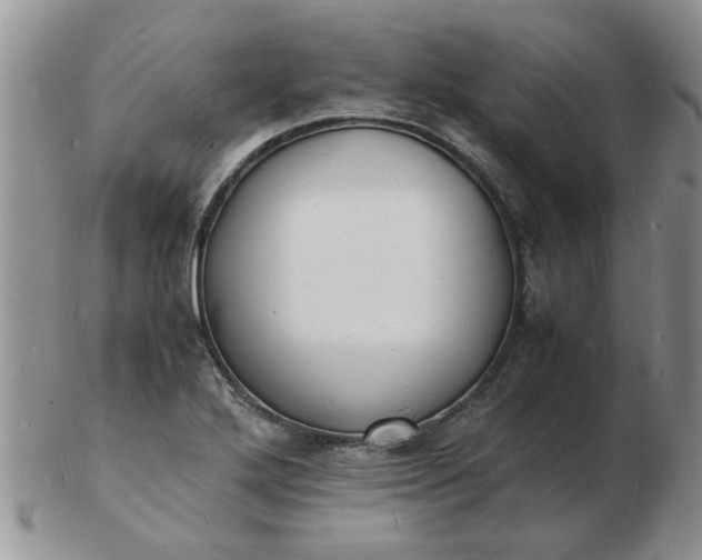 X0000103291272200809121959