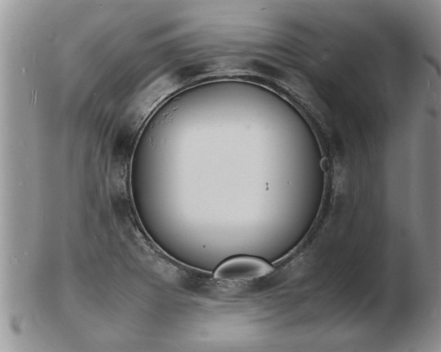 X0000103291273200809121959