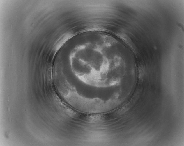 X0000103291274200809121959