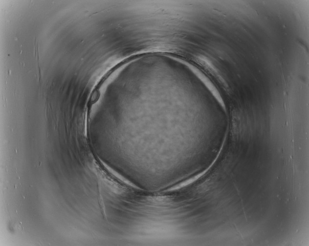 X0000103291276200809121959