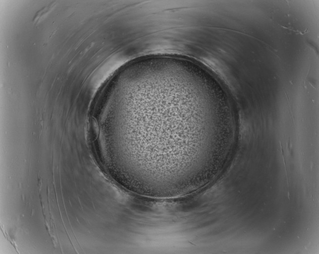 X0000103291277200809121959