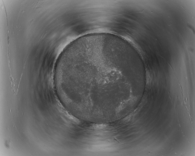 X0000103291278200809121959