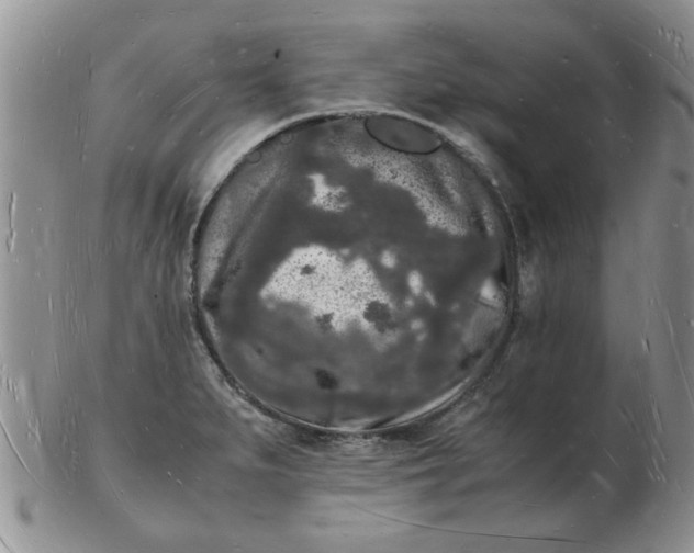 X0000103291279200809121959