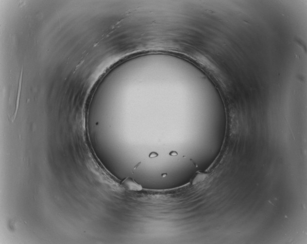 X0000103291280200809121959