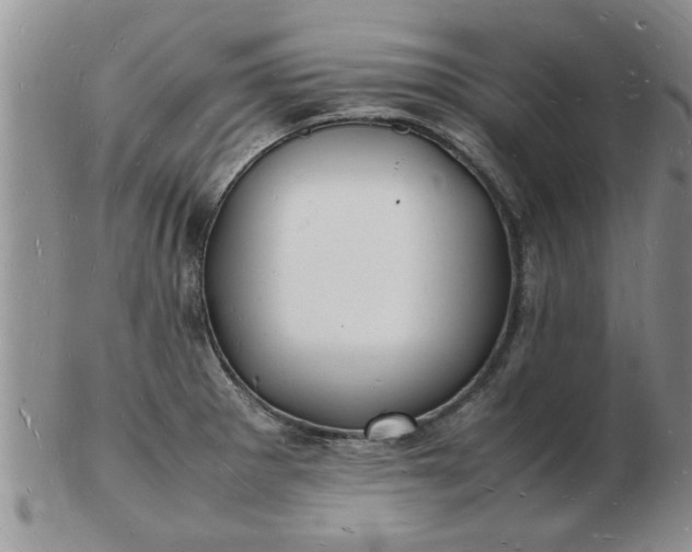 X0000103291281200809121959