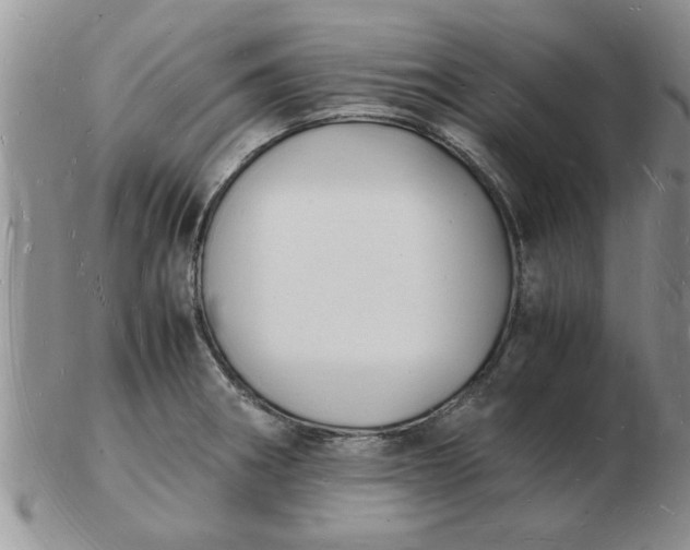 X0000103291282200809121959