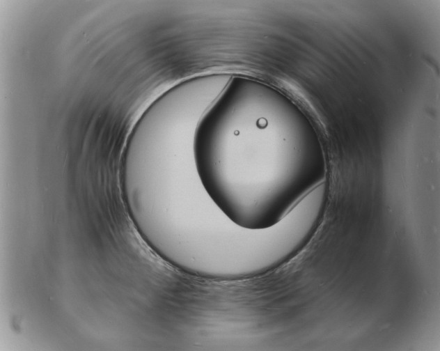 X0000103291284200809121959