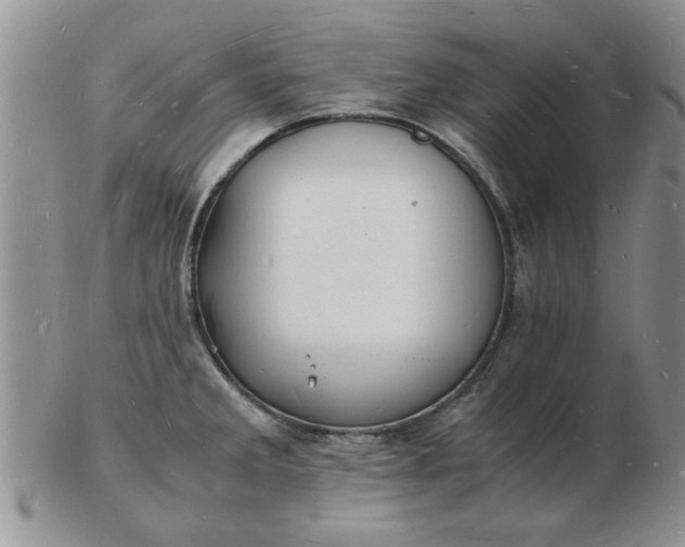 X0000103291285200809121959