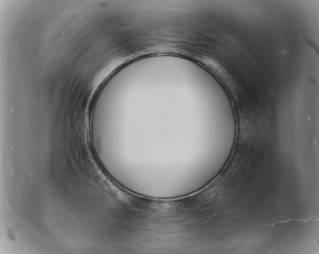 X0000103291286200809121959