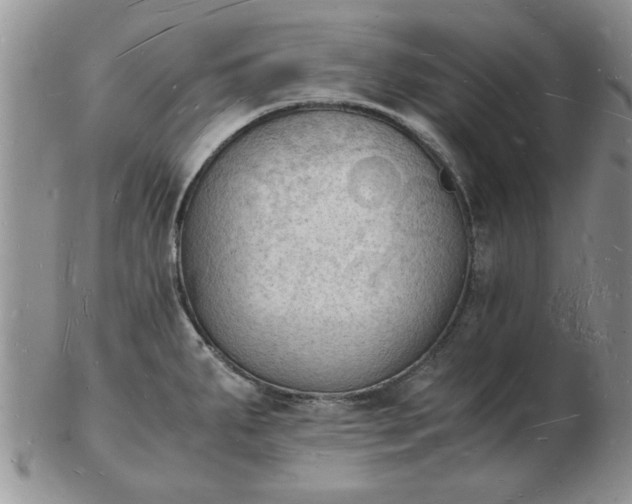 X0000103291287200809121959