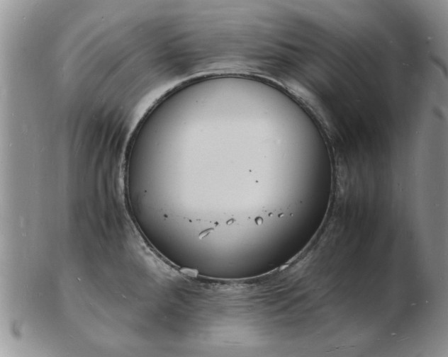 X0000103291288200809121959