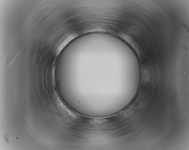 X0000103291290200809121959