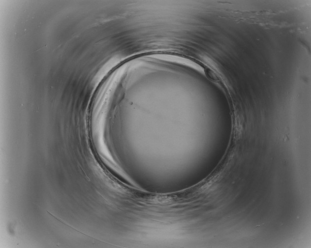 X0000103291291200809121959