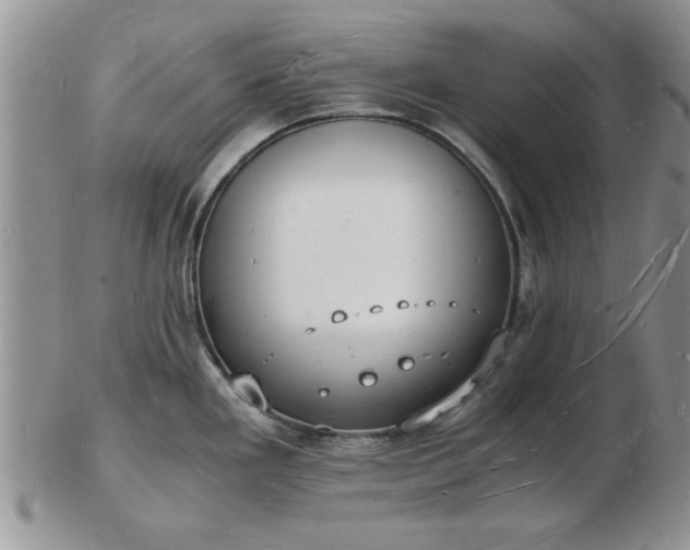 X0000103291293200809121959