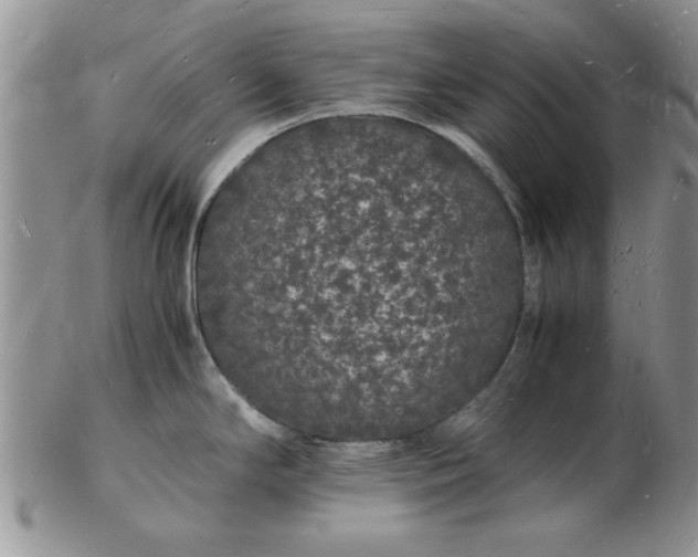 X0000103291294200809121959