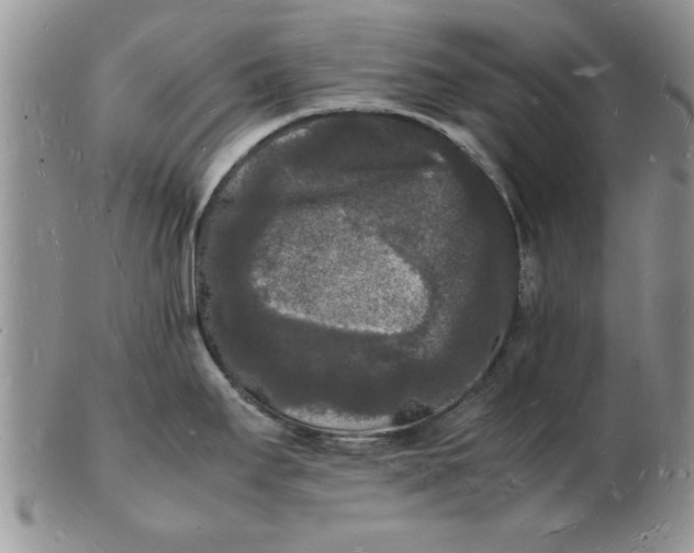 X0000103291295200809121959