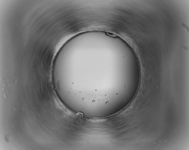 X0000103291296200809121959