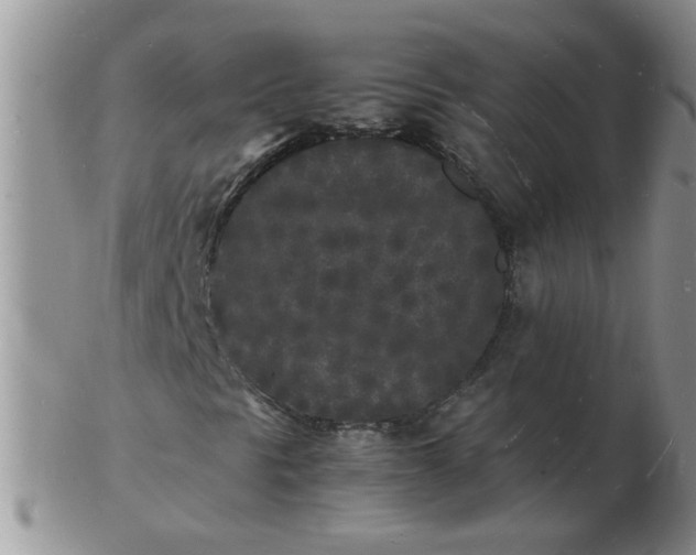 X0000103291297200809121958