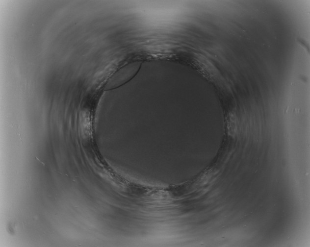 X0000103291298200809121958