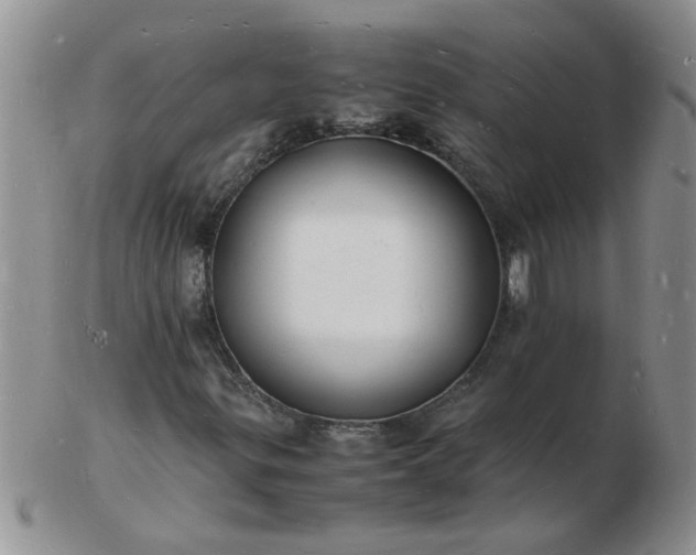 X0000103291299200809121958