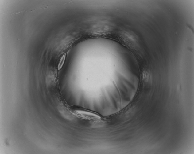 X0000103291300200809121958