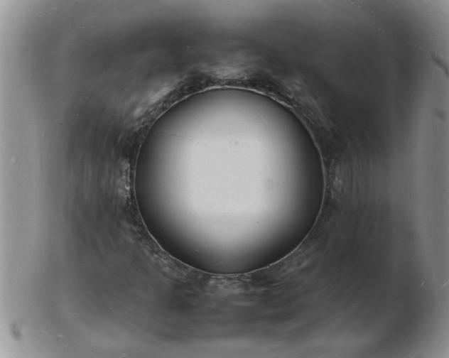 X0000103291301200809121958