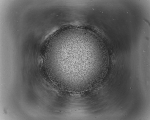 X0000103291302200809121958