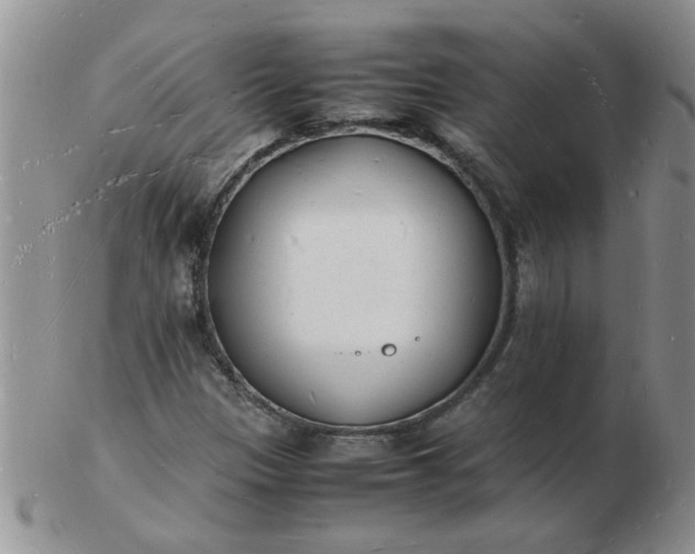 X0000103291305200809121958