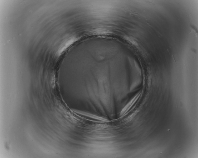 X0000103291306200809121958