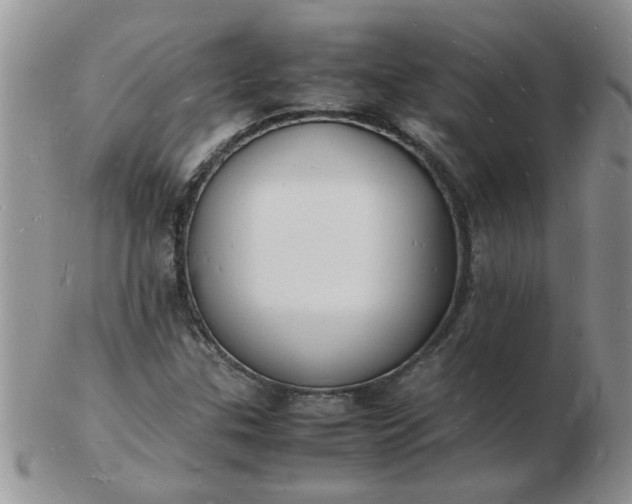 X0000103291307200809121958