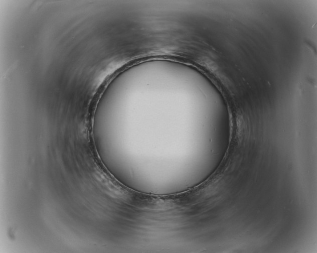 X0000103291308200809121958