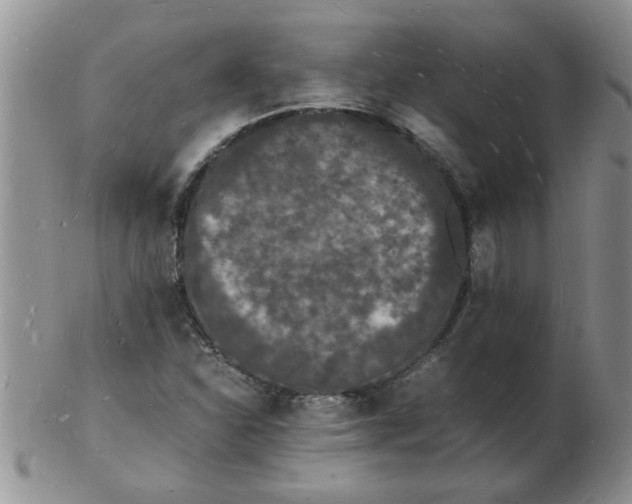 X0000103291310200809121958